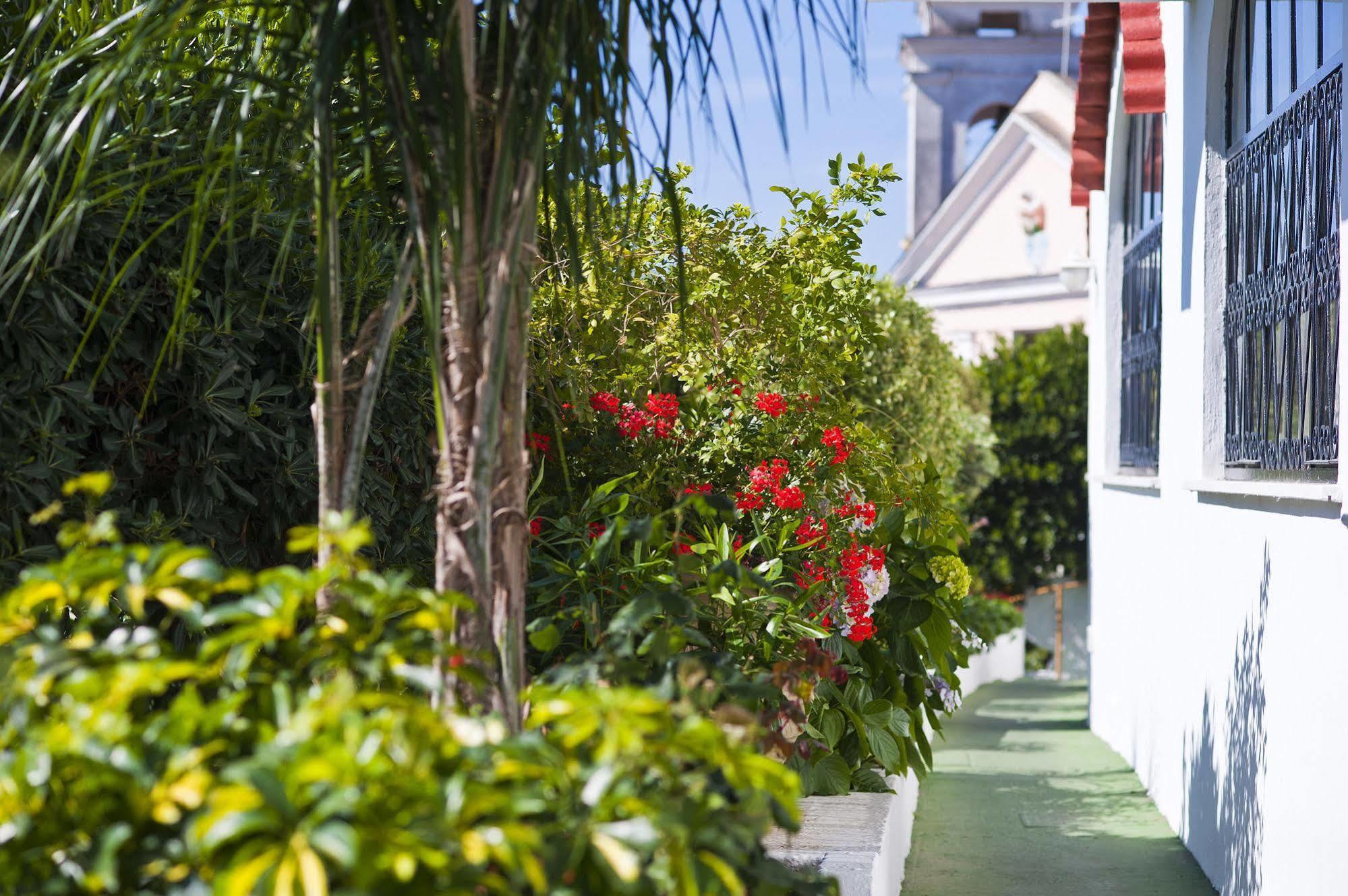 Casa Di Meglio Dependance Hotell Casamicciola Terme Eksteriør bilde